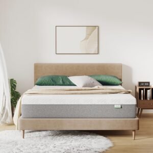 Memory Foam Mattress